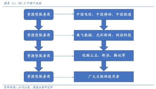 电信服务器托管的多维优势与挑战