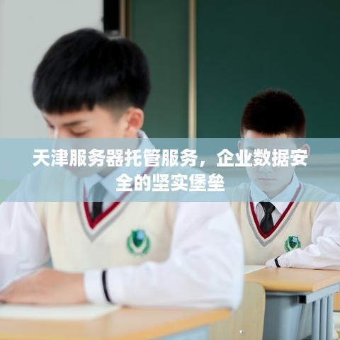 天津服务器托管服务，企业数据安全的坚实堡垒