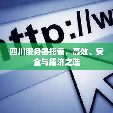 四川服务器托管，高效、安全与经济之选