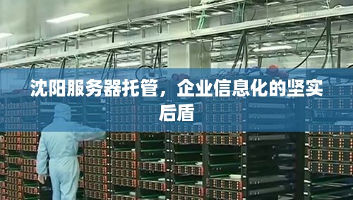 沈阳服务器托管，企业信息化的坚实后盾