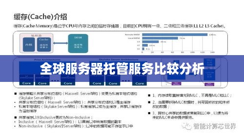 全球服务器托管服务比较分析