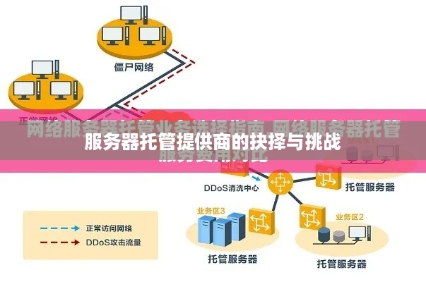 服务器托管提供商的抉择与挑战