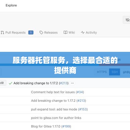 服务器托管服务，选择最合适的提供商