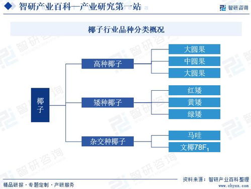 服务器托管价格解析与市场分析