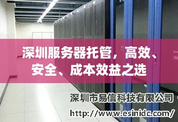 深圳服务器托管，高效、安全、成本效益之选