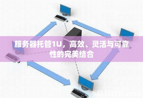 服务器托管1U，高效、灵活与可靠性的完美结合