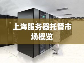 上海服务器托管市场概览