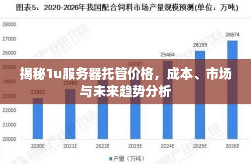 揭秘1u服务器托管价格，成本、市场与未来趋势分析