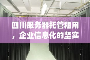 四川服务器托管租用，企业信息化的坚实后盾