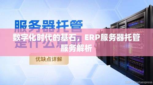 数字化时代的基石，ERP服务器托管服务解析