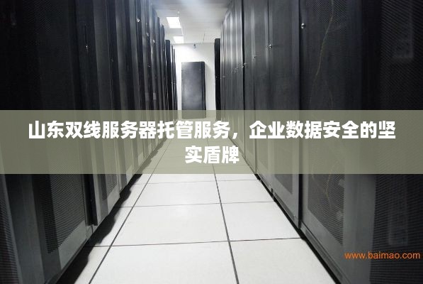 山东双线服务器托管服务，企业数据安全的坚实盾牌