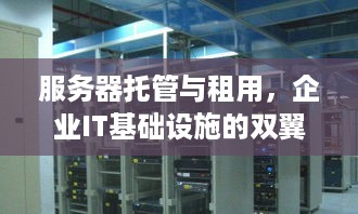 服务器托管与租用，企业IT基础设施的双翼