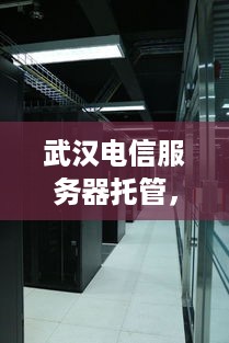 武汉电信服务器托管，为企业提供稳固的网络基础设施