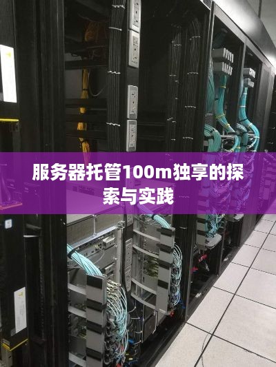 服务器托管100m独享的探索与实践