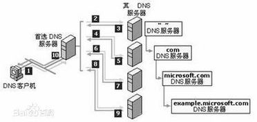 DNS服务器托管，互联网的神经中枢与网络安全的守护者