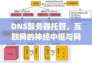 DNS服务器托管，互联网的神经中枢与网络安全的守护者