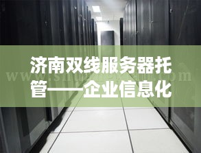 济南双线服务器托管——企业信息化的坚实后盾