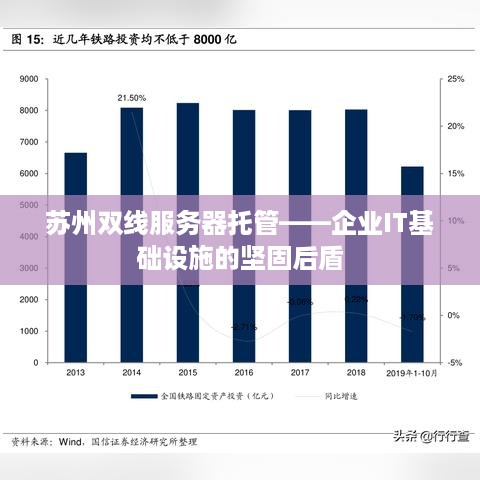 苏州双线服务器托管——企业IT基础设施的坚固后盾