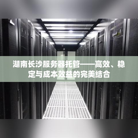 湖南长沙服务器托管——高效、稳定与成本效益的完美结合