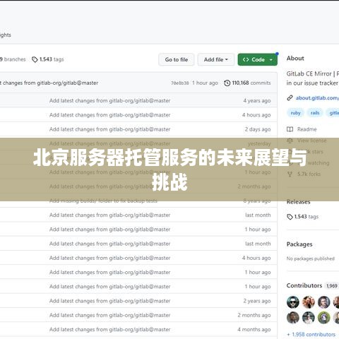 北京服务器托管服务的未来展望与挑战