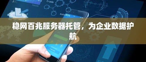 稳网百兆服务器托管，为企业数据护航