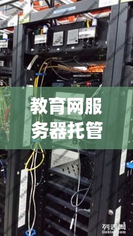 教育网服务器托管服务的重要性与挑战