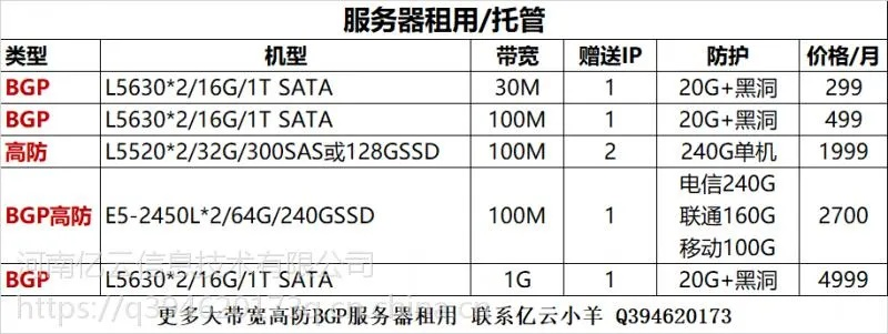 百兆独享服务器托管服务