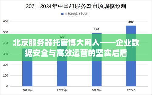 北京服务器托管博大网人——企业数据安全与高效运营的坚实后盾