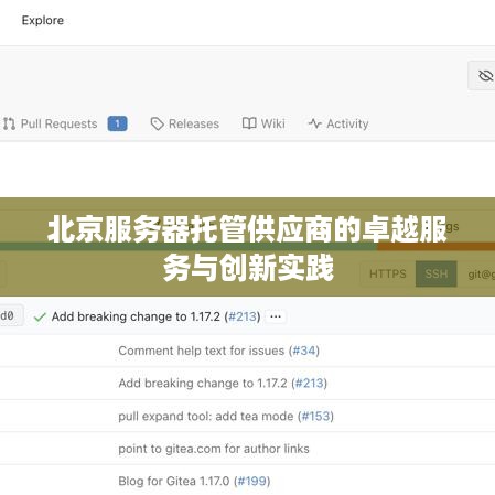 北京服务器托管供应商的卓越服务与创新实践