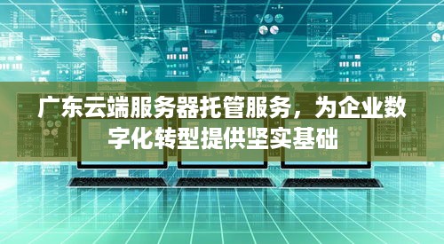 广东云端服务器托管服务，为企业数字化转型提供坚实基础