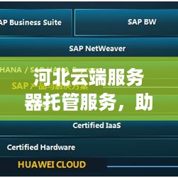 河北云端服务器托管服务，助力企业数字化转型