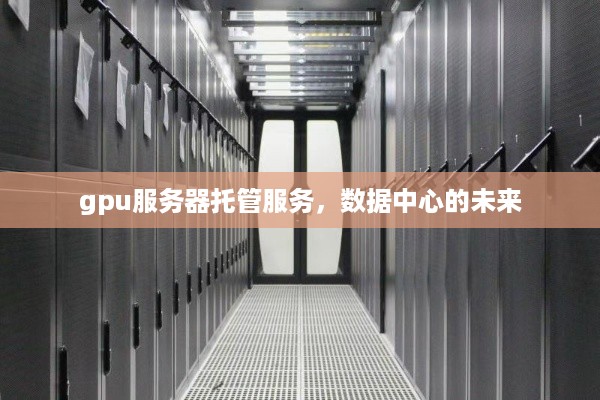 gpu服务器托管服务，数据中心的未来