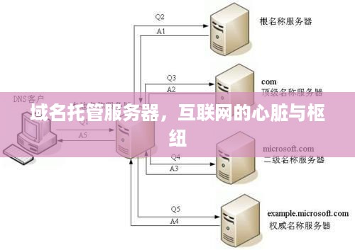 域名托管服务器，互联网的心脏与枢纽