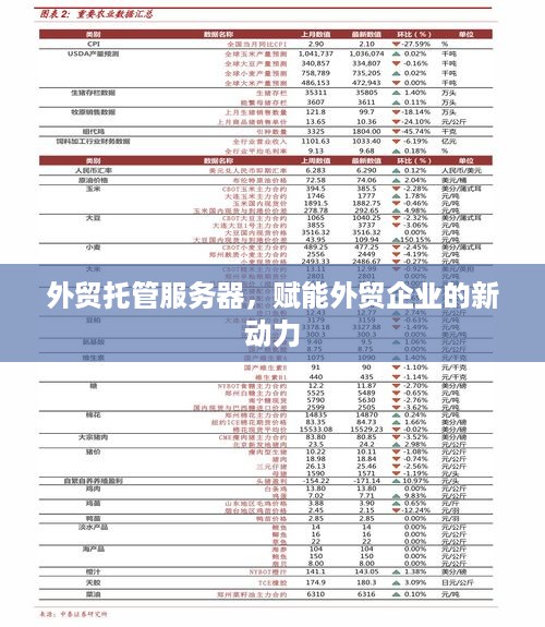 外贸托管服务器，赋能外贸企业的新动力