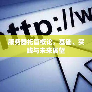 服务器托管概论，基础、实践与未来展望