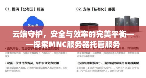 云端守护，安全与效率的完美平衡——探索MNC服务器托管服务