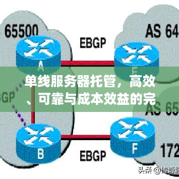 单线服务器托管，高效、可靠与成本效益的完美结合