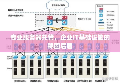 专业服务器托管，企业IT基础设施的稳固后盾