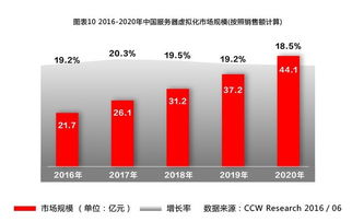 托管服务器年费，企业IT管理的基石与成本考量