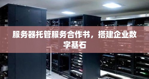 服务器托管服务合作书，搭建企业数字基石