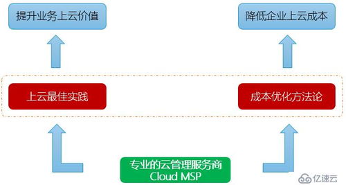 企业服务器托管费用分析，成本、效益与策略