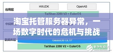 淘宝托管服务器异常，一场数字时代的危机与挑战