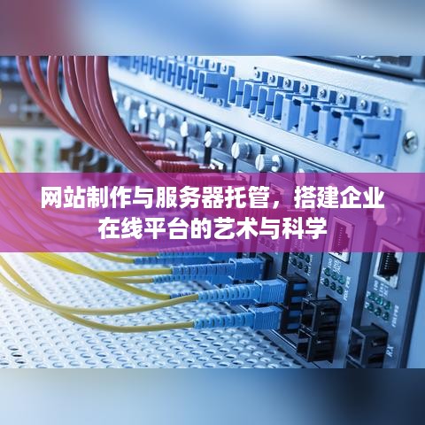 网站制作与服务器托管，搭建企业在线平台的艺术与科学