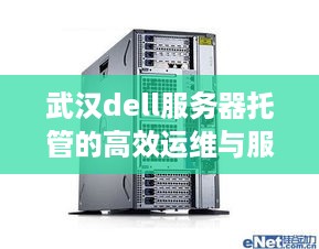 武汉dell服务器托管的高效运维与服务保障