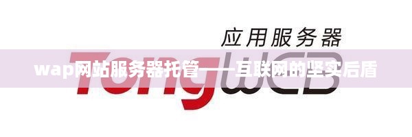 wap网站服务器托管——互联网的坚实后盾