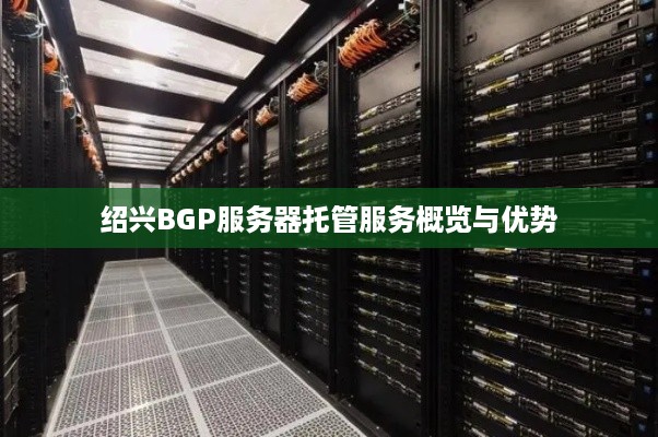 绍兴BGP服务器托管服务概览与优势