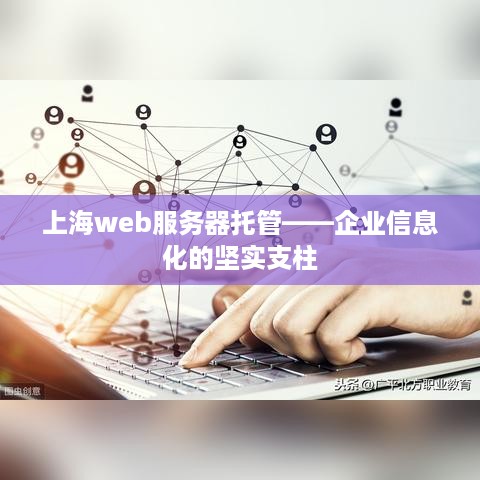 上海web服务器托管——企业信息化的坚实支柱