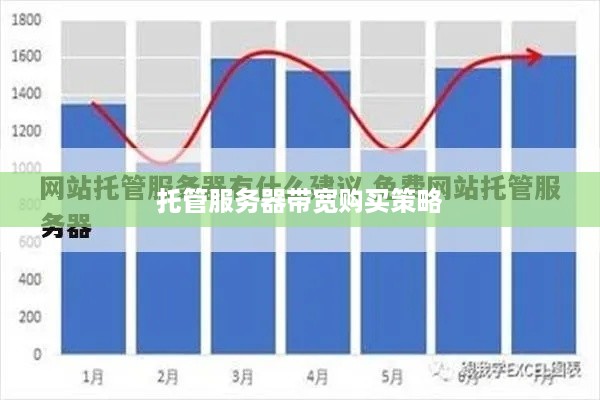 托管服务器带宽购买策略