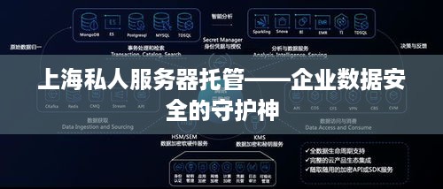 上海私人服务器托管——企业数据安全的守护神