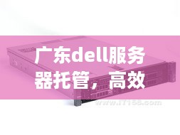 广东dell服务器托管，高效、稳定与创新的IT服务选择